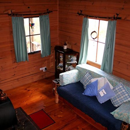 Willa Wombat Cabin Moina Zewnętrze zdjęcie
