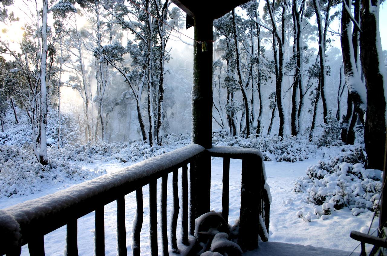 Willa Wombat Cabin Moina Zewnętrze zdjęcie