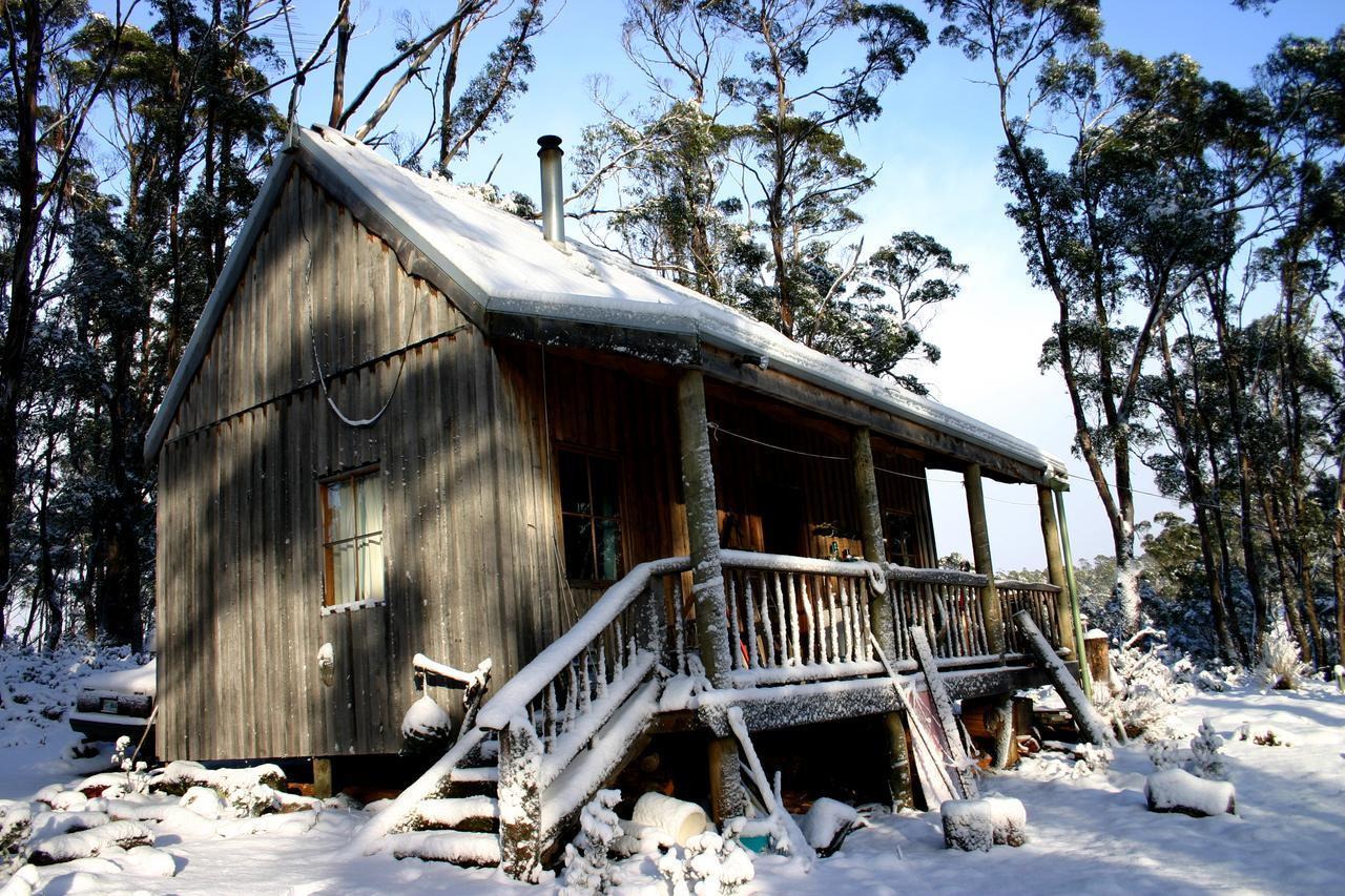 Willa Wombat Cabin Moina Zewnętrze zdjęcie
