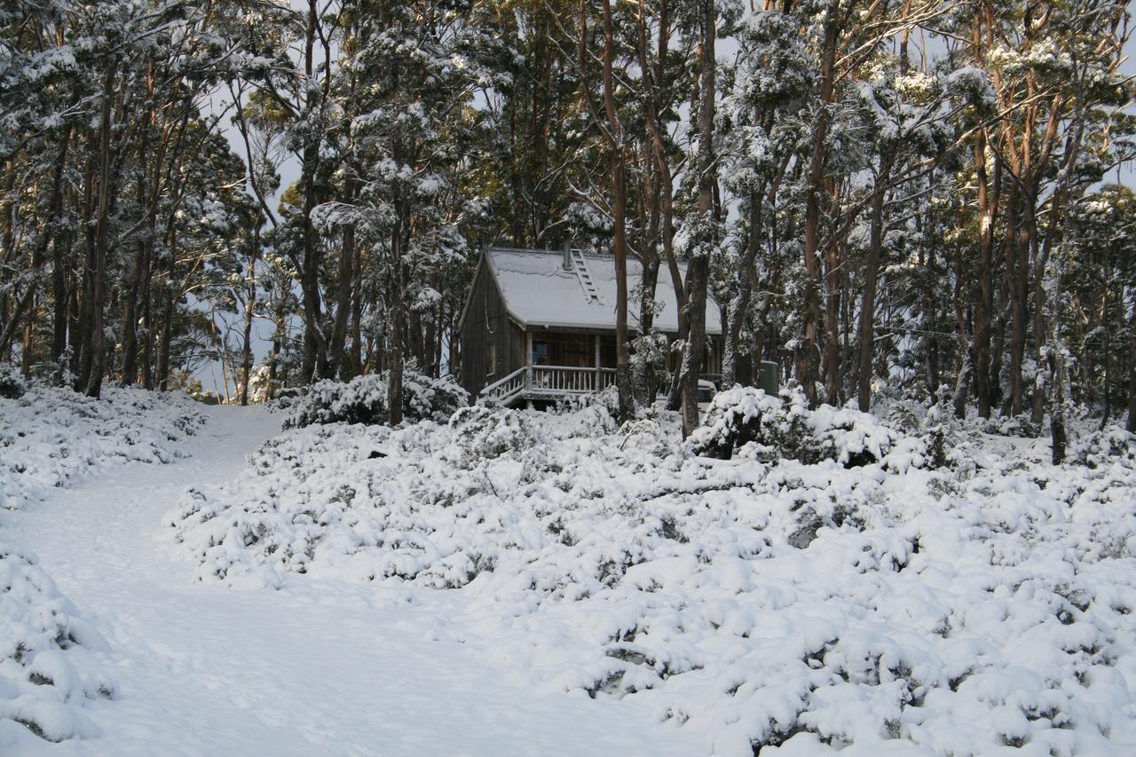 Willa Wombat Cabin Moina Zewnętrze zdjęcie